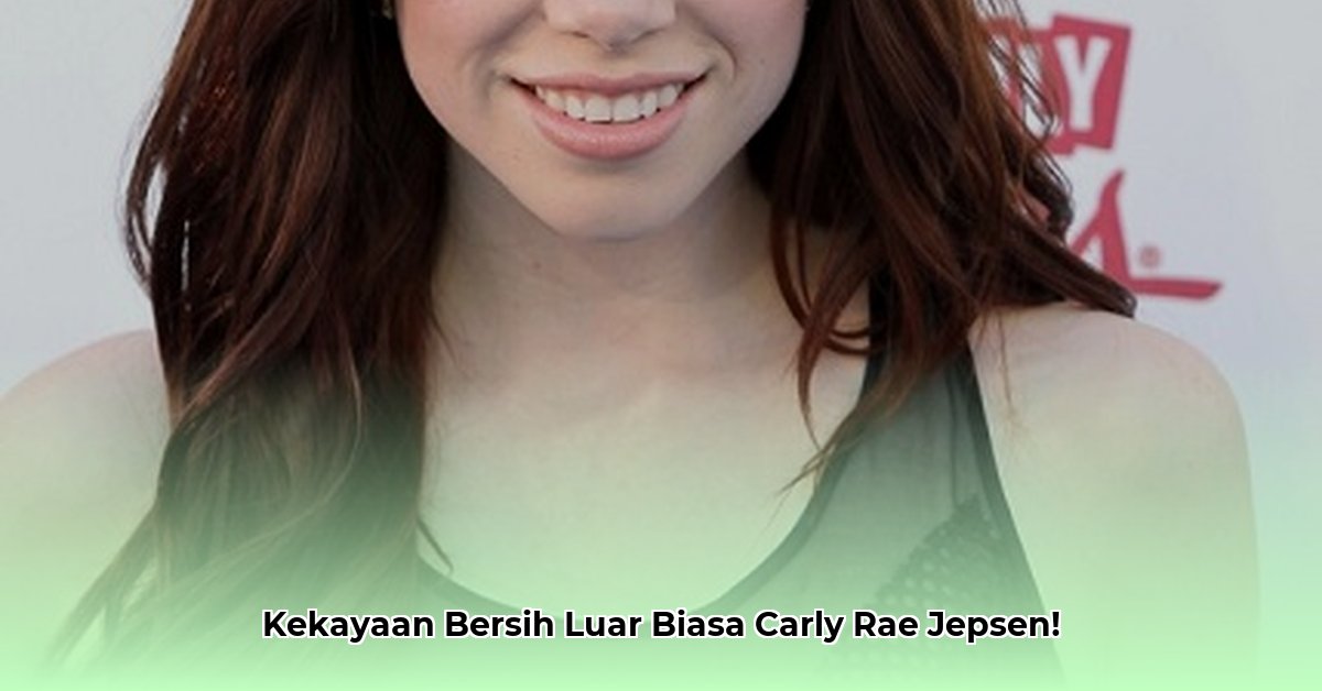 carly rae jepsen net worth